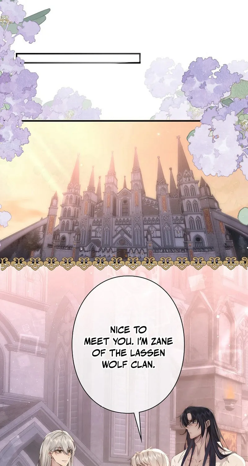 Read Snow Prison chapter 8 image 1 on Lezhin