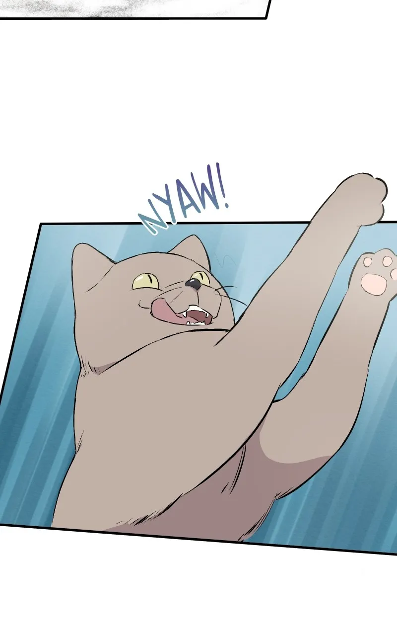 Read Snowbound chapter 1 image 88 on Lezhin