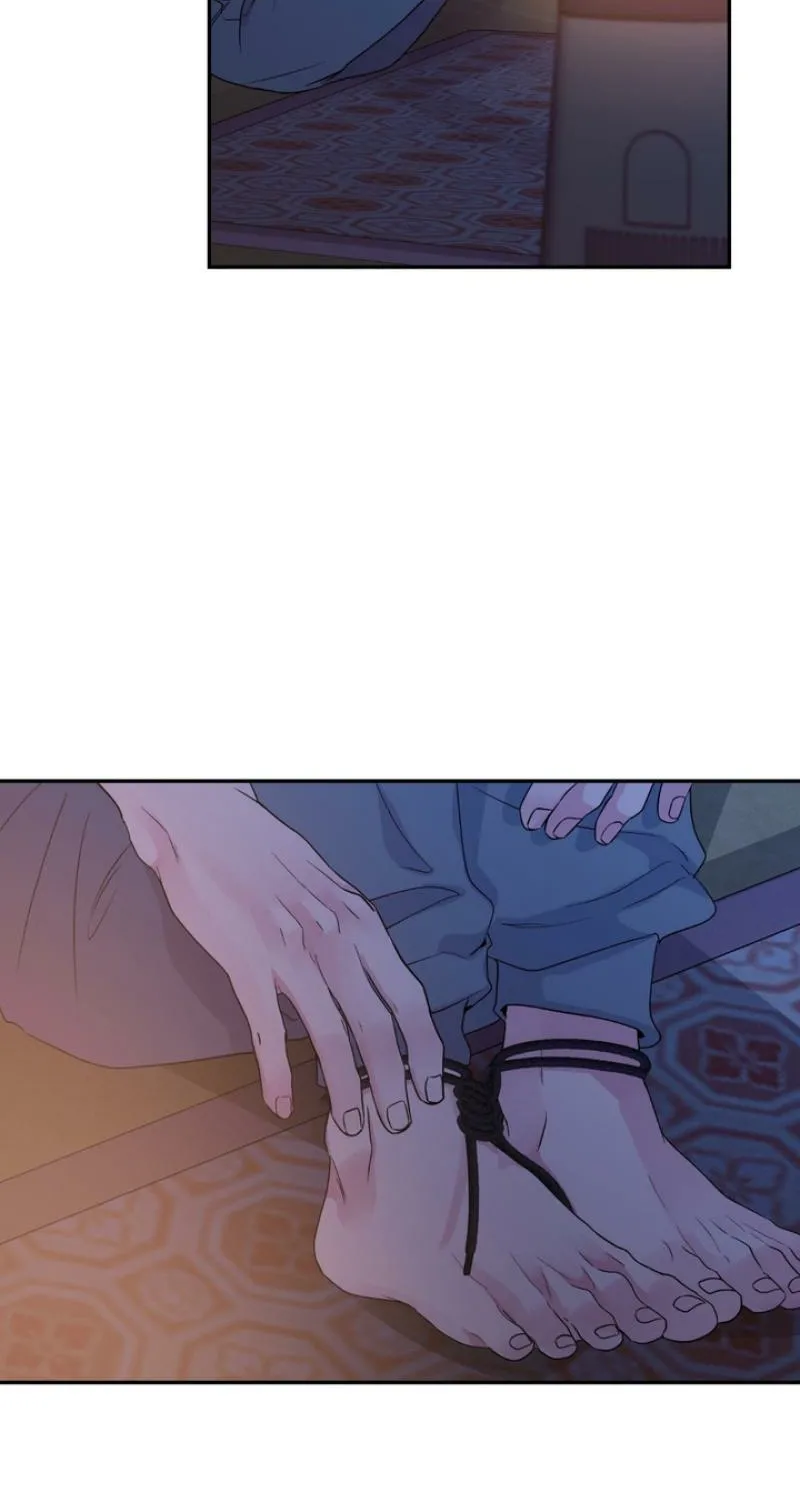 Read Soft Night chapter 7 image 62 on Lezhin