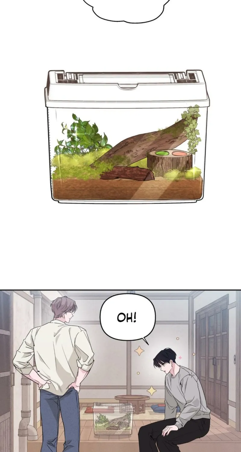 Read Soft Night chapter 9 image 1 on Lezhin