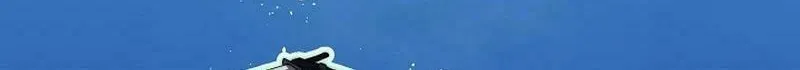 Solo Eating Chapter 43 page 39 - 