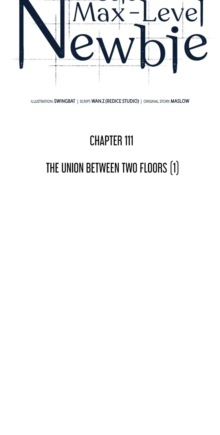 Read Solo Max-Level Newbie chapter 111 image 9 on Lezhin