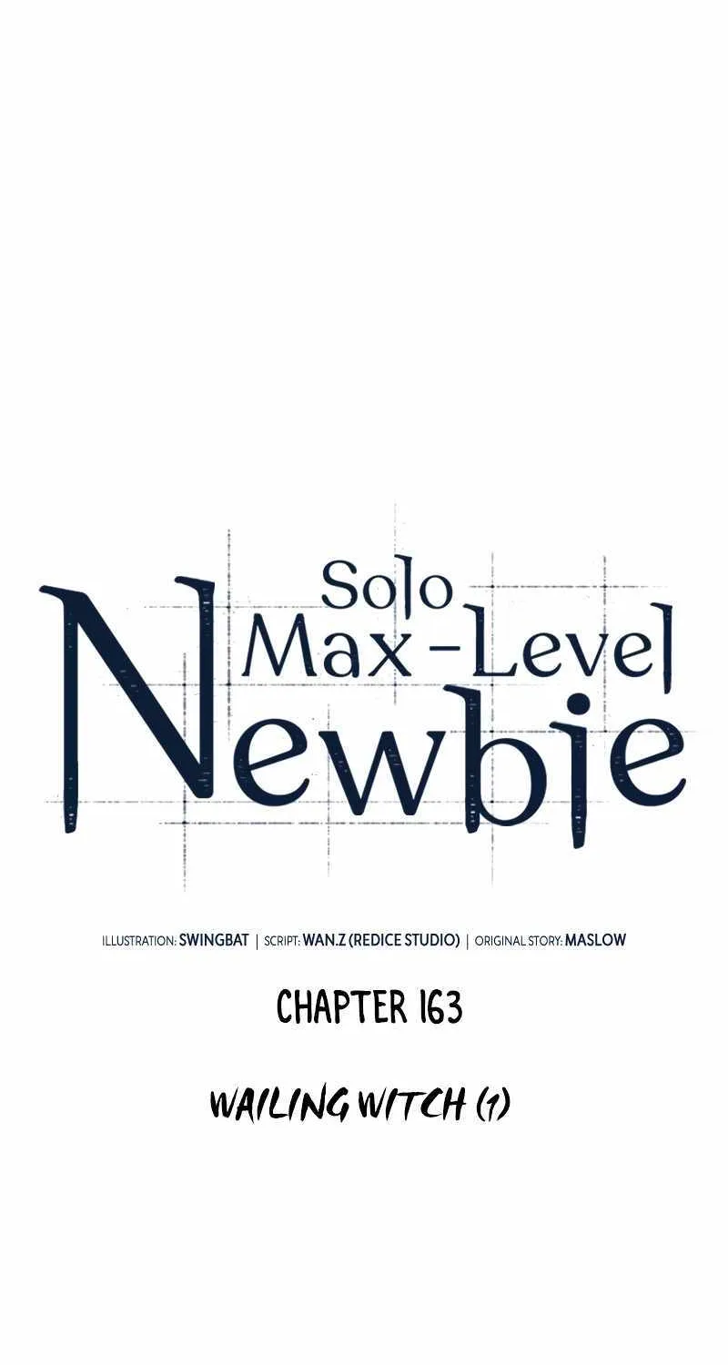 Read Solo Max-Level Newbie chapter 163 image 24 on Lezhin