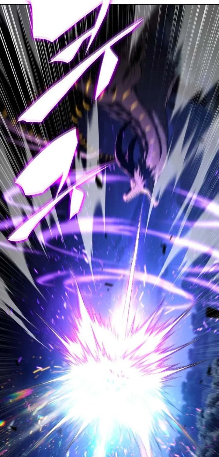 Read Solo Max-Level Newbie chapter 196 image 79 on Lezhin