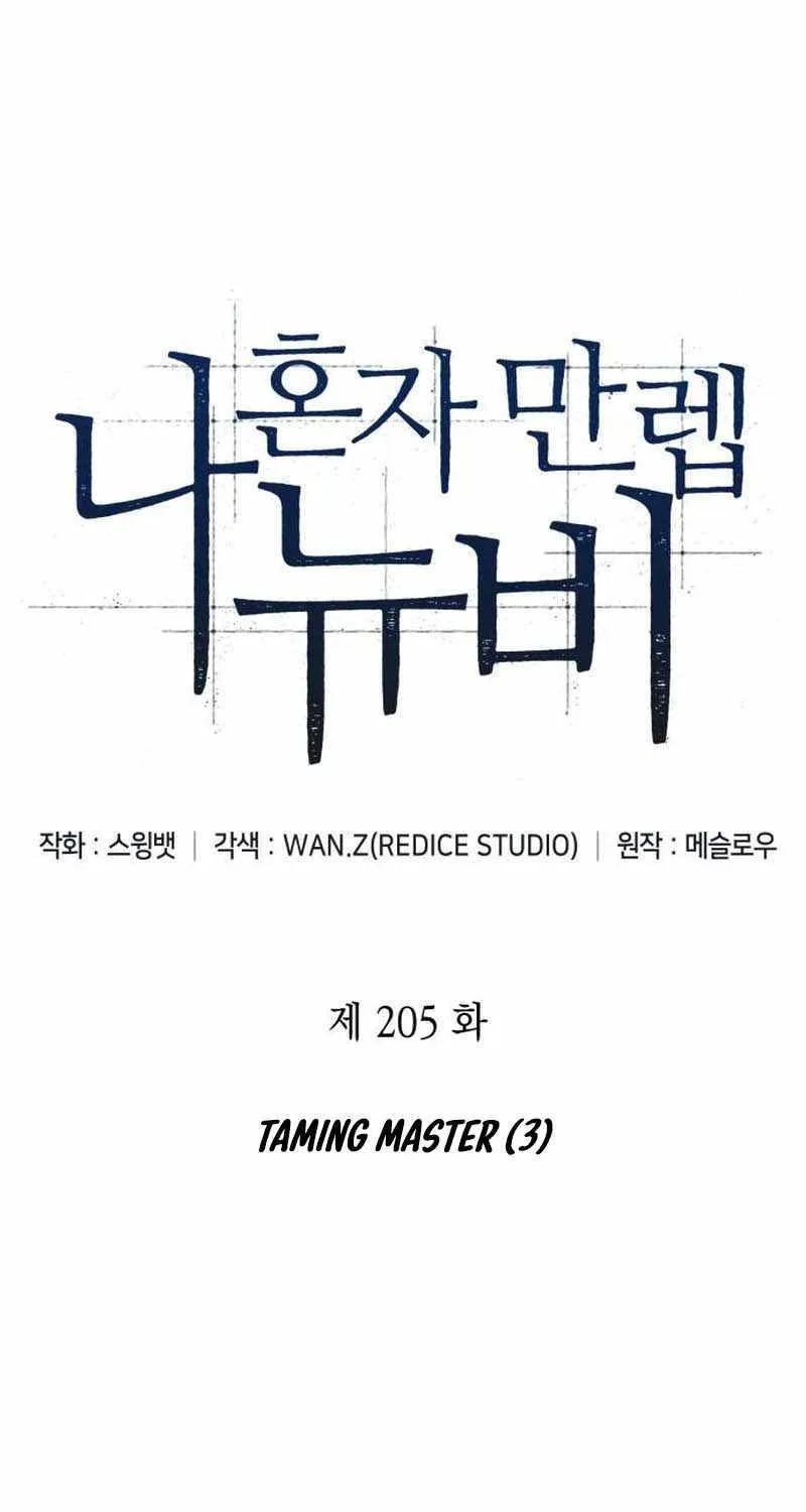Read Solo Max-Level Newbie chapter 205 image 18 on Lezhin