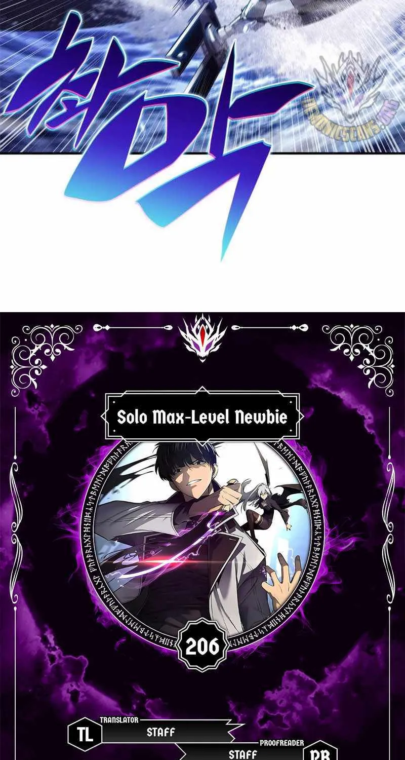 Read Solo Max-Level Newbie chapter 206 image 3 on Lezhin