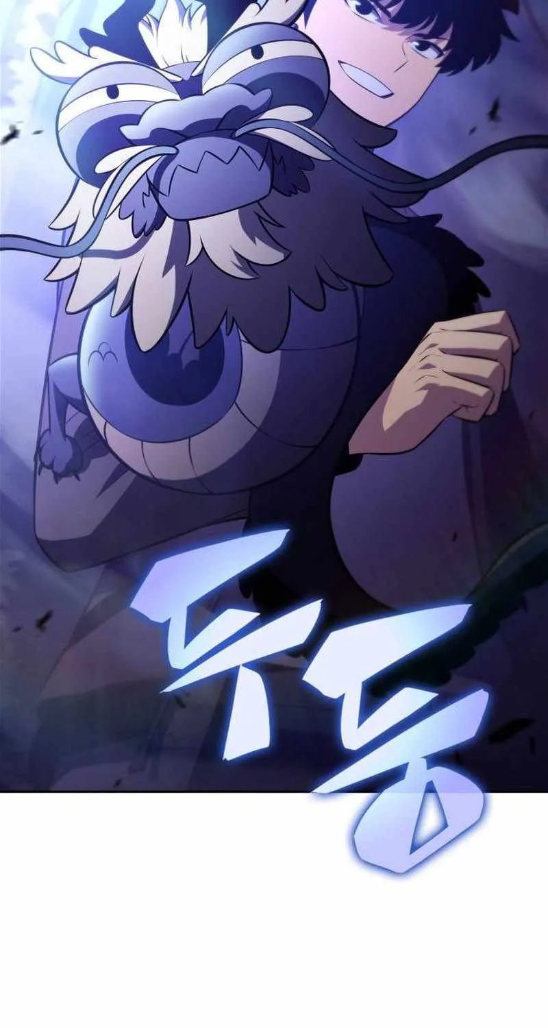 Read Solo Max-Level Newbie chapter 206 image 67 on Lezhin