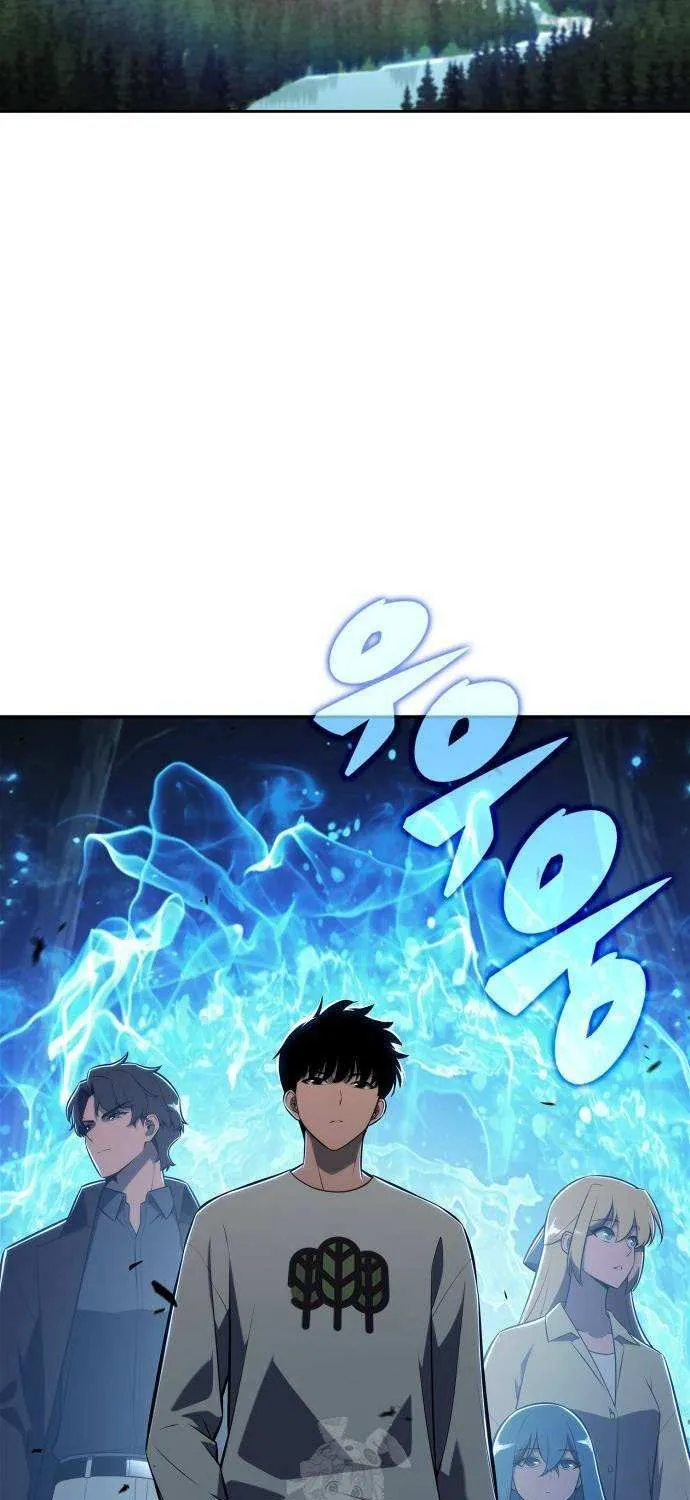 Read Solo Max-Level Newbie chapter 215 image 79 on Lezhin