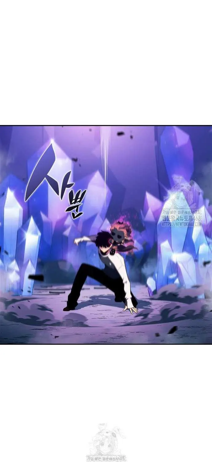 Read Solo Max-Level Newbie chapter 225 image 16 on Lezhin