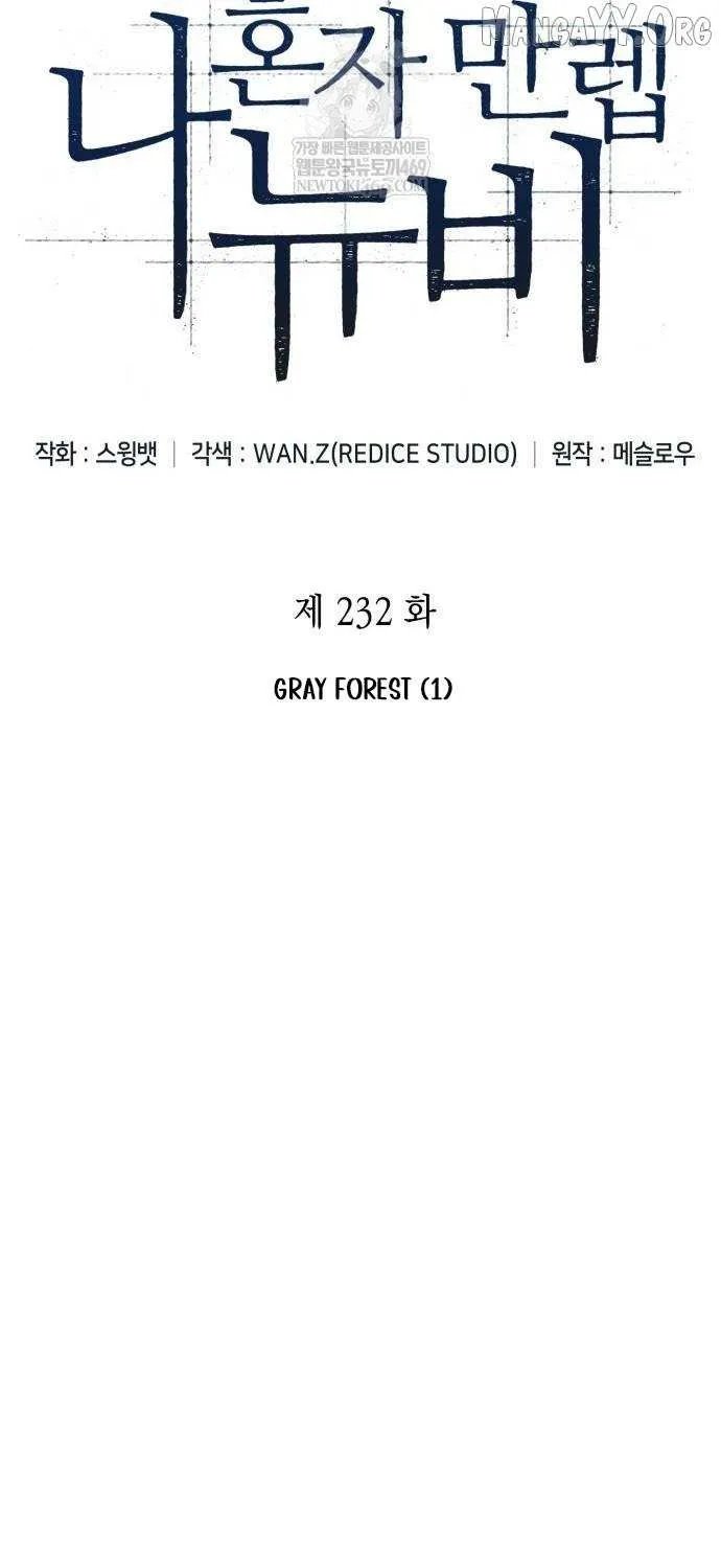Read Solo Max-Level Newbie chapter 232 image 42 on Lezhin