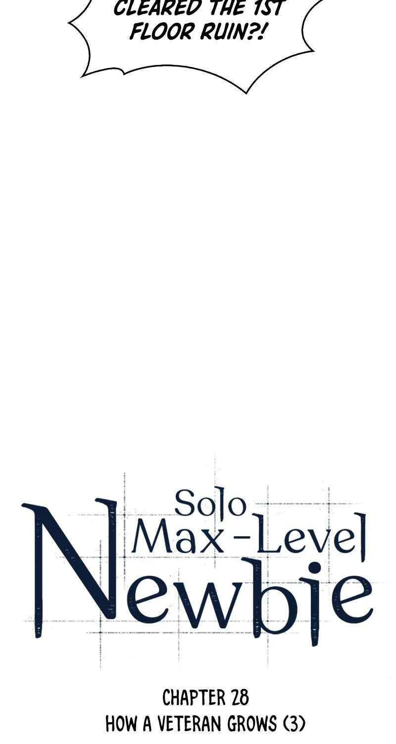 Read Solo Max-Level Newbie chapter 28 image 10 on Lezhin