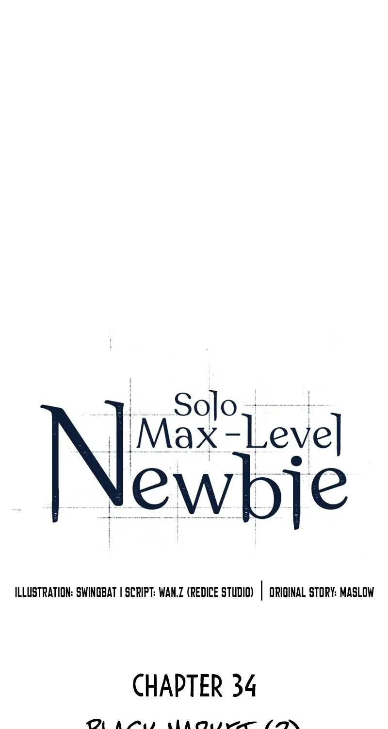 Read Solo Max-Level Newbie chapter 34 image 19 on Lezhin