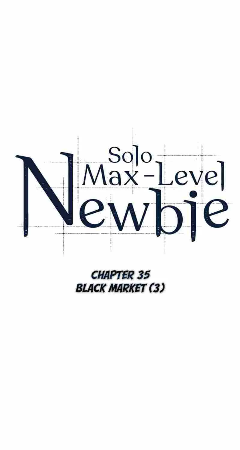 Read Solo Max-Level Newbie chapter 35 image 42 on Lezhin