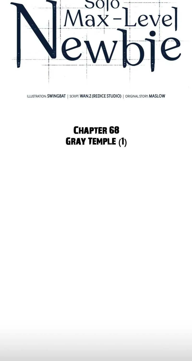 Read Solo Max-Level Newbie chapter 68 image 29 on Lezhin