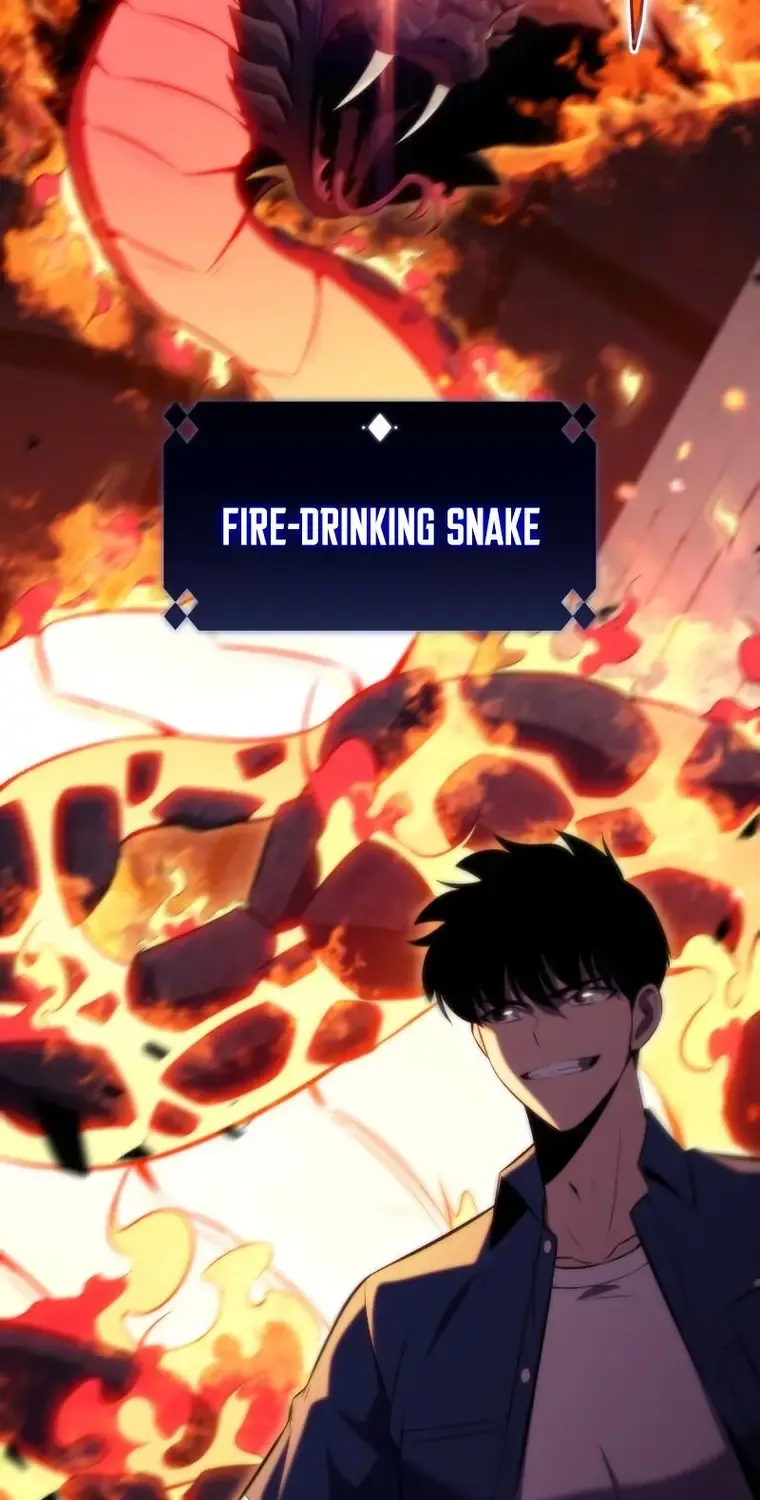Read Solo Max-Level Newbie chapter 69 image 113 on Lezhin