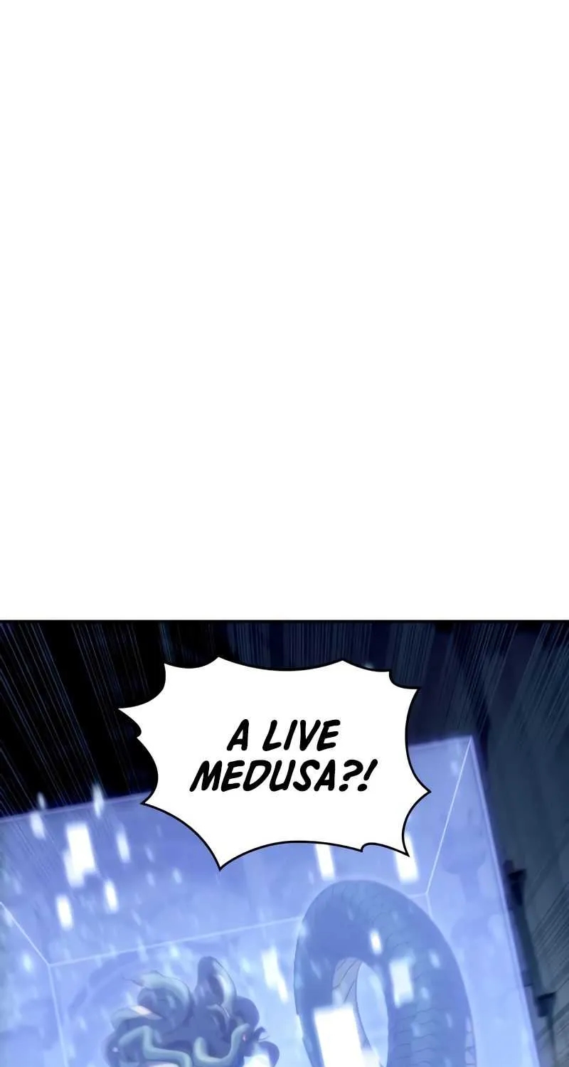 Read Solo Max-Level Newbie chapter 71 image 108 on Lezhin