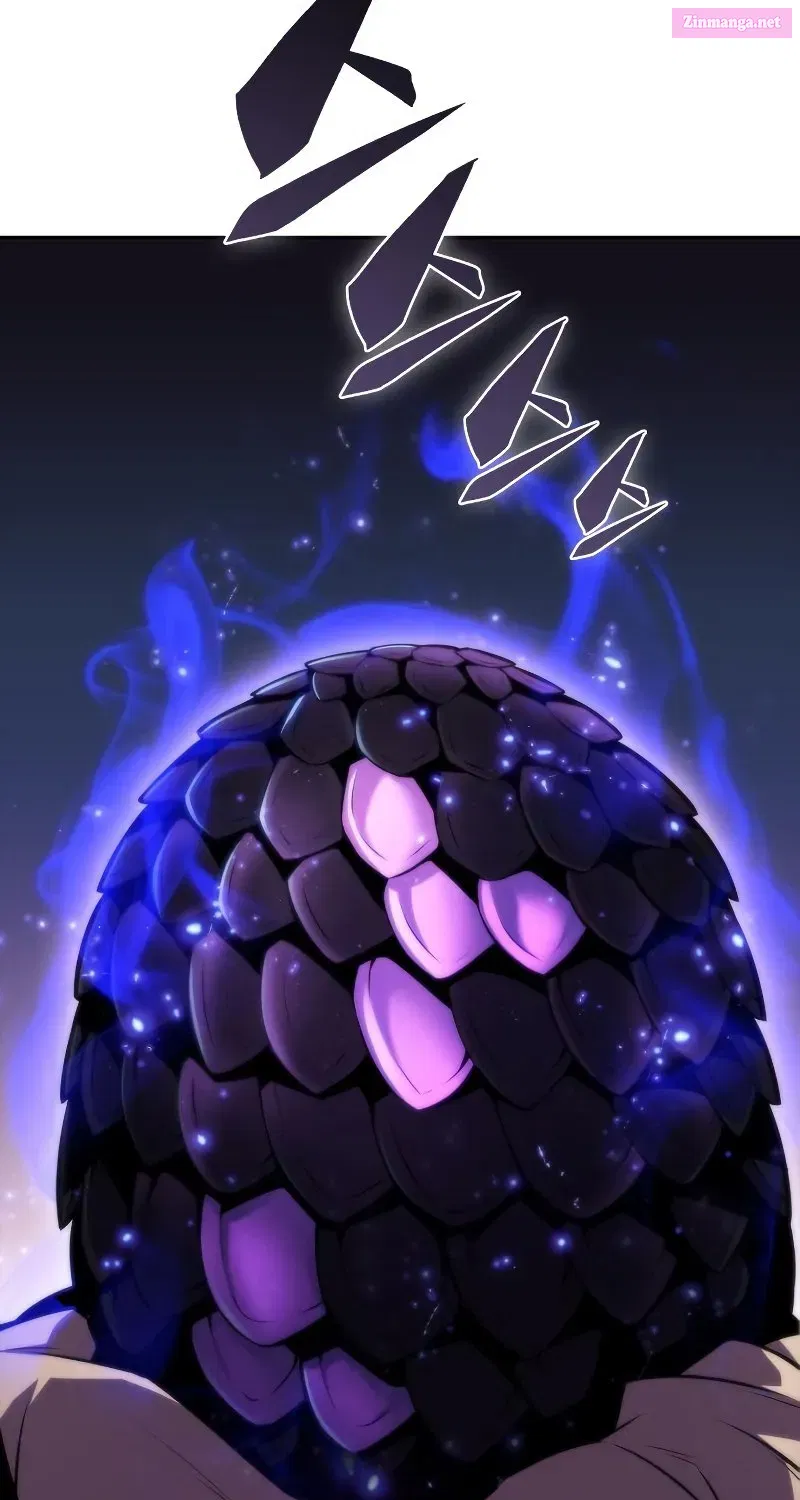 Read Solo Max-Level Newbie chapter 72.1 image 134 on Lezhin