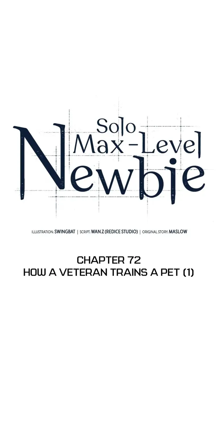 Read Solo Max-Level Newbie chapter 72 image 33 on Lezhin