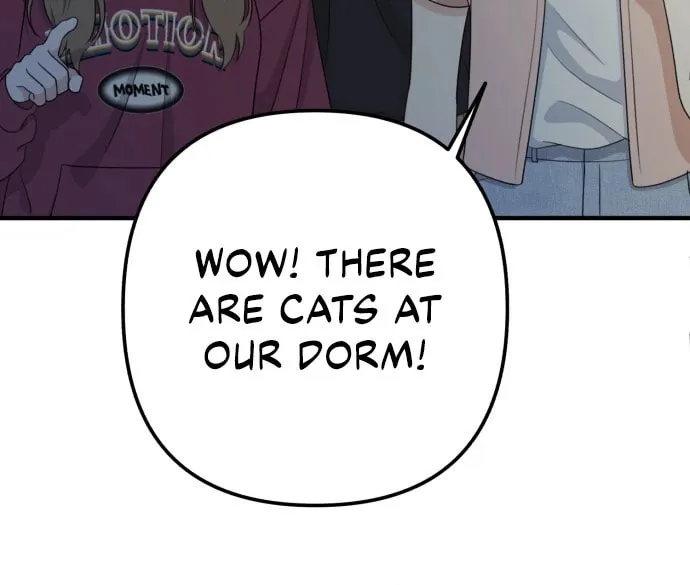 Read Solo School chapter 24 image 85 on Lezhin