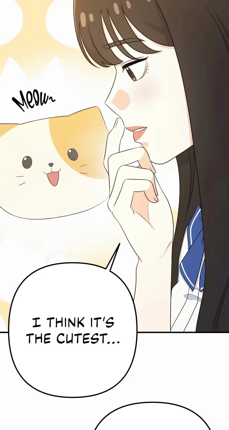Read Solo School chapter 27 image 21 on Lezhin