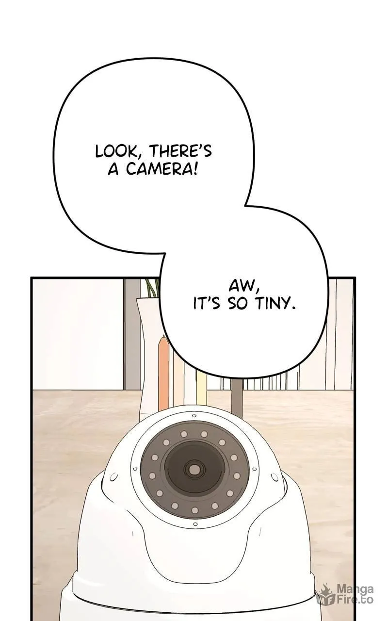 Read Solo School chapter 5 image 44 on Lezhin