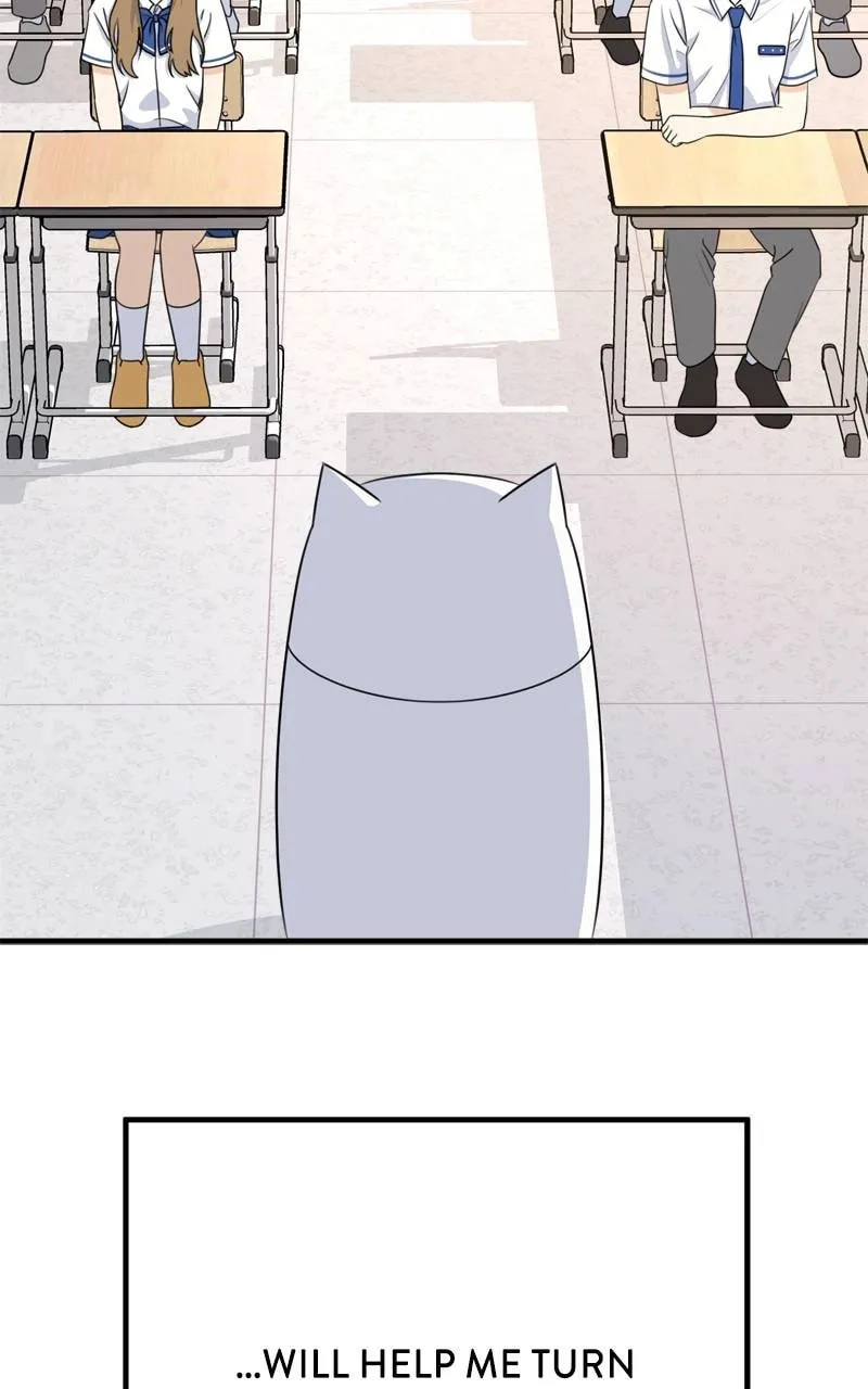 Read Solo School chapter 8 image 127 on Lezhin