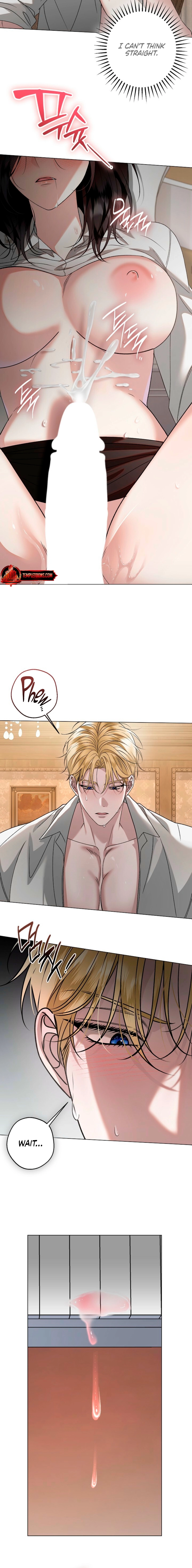 Read Solstice chapter 16 image 13 on Lezhin