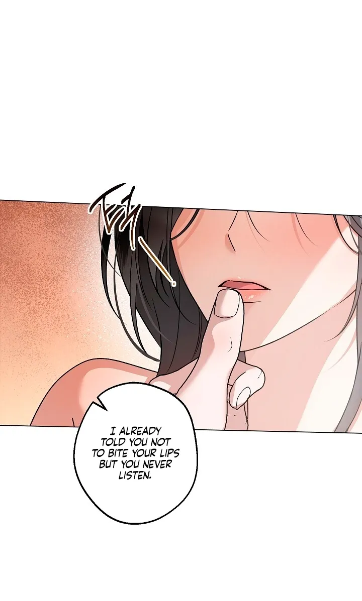 Read Solstice chapter 28 image 47 on Lezhin