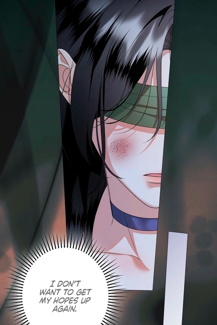 Read Solstice chapter 41 image 42 on Lezhin