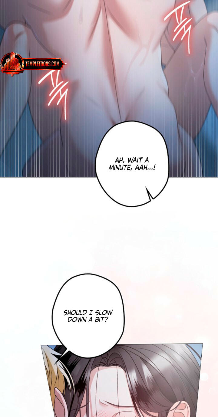 Read Solstice chapter 45 image 21 on Lezhin