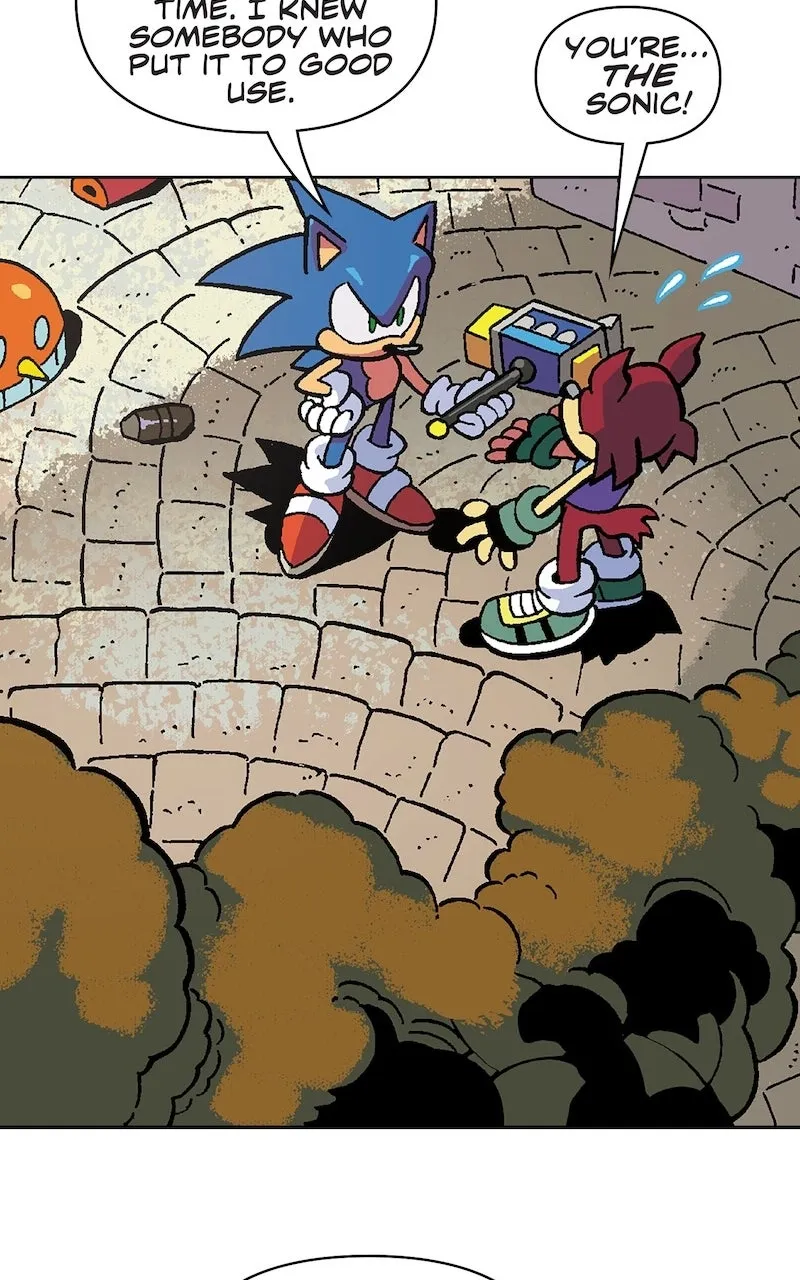 Read Sonic the Hedgehog chapter 1 image 14 on Lezhin