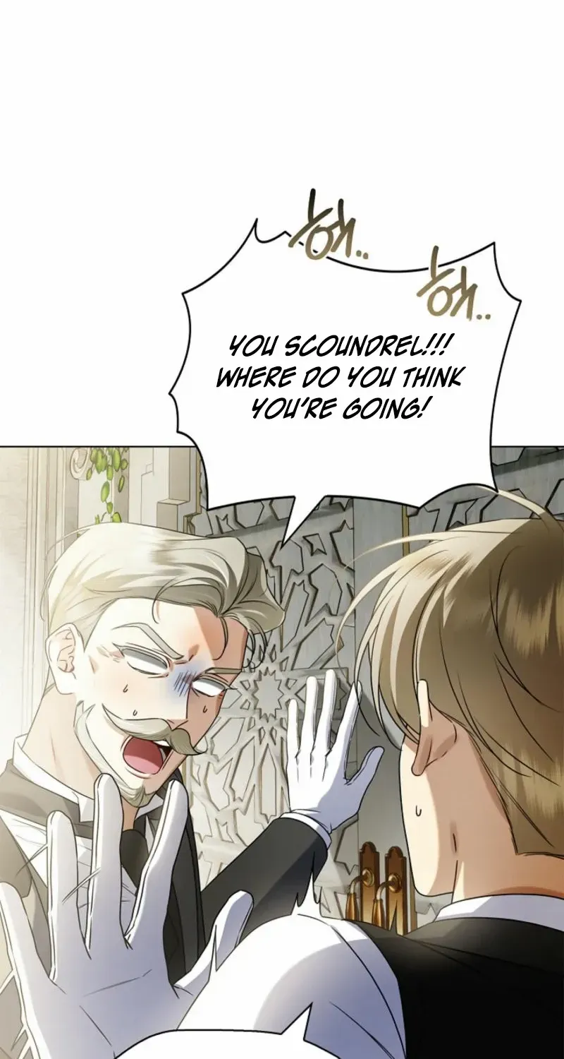 Sorry, I got distracted by your looks Chapter 21 page 5 - 
