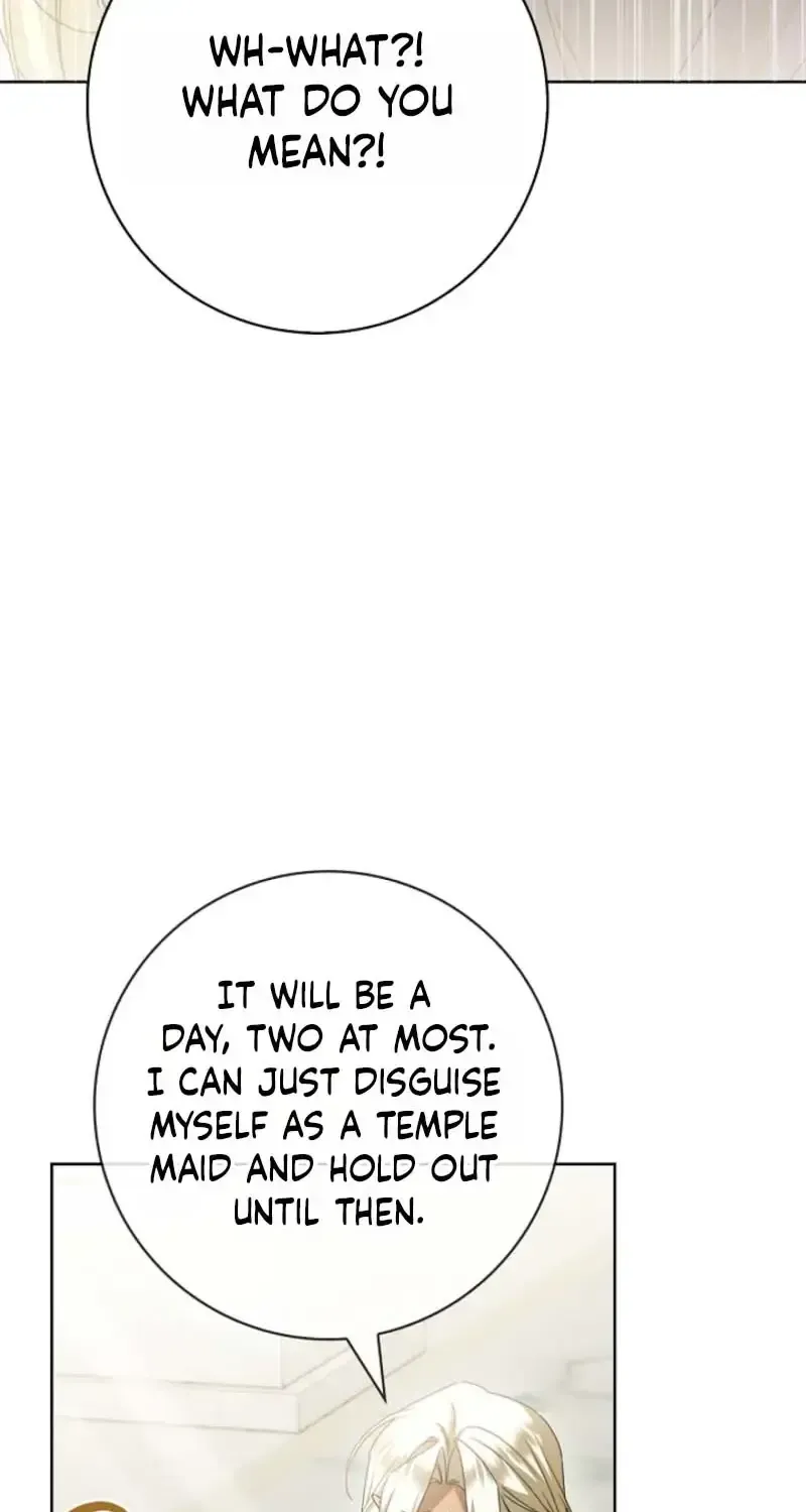 Sorry, I got distracted by your looks Chapter 78 page 72 - 