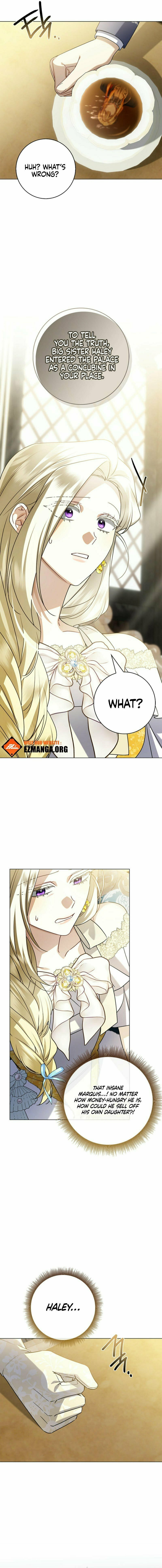 Read Sorry, I
