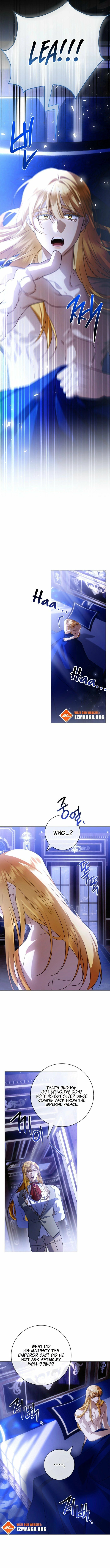 Sorry, I'm a Fool Chapter 40 page 12 - 