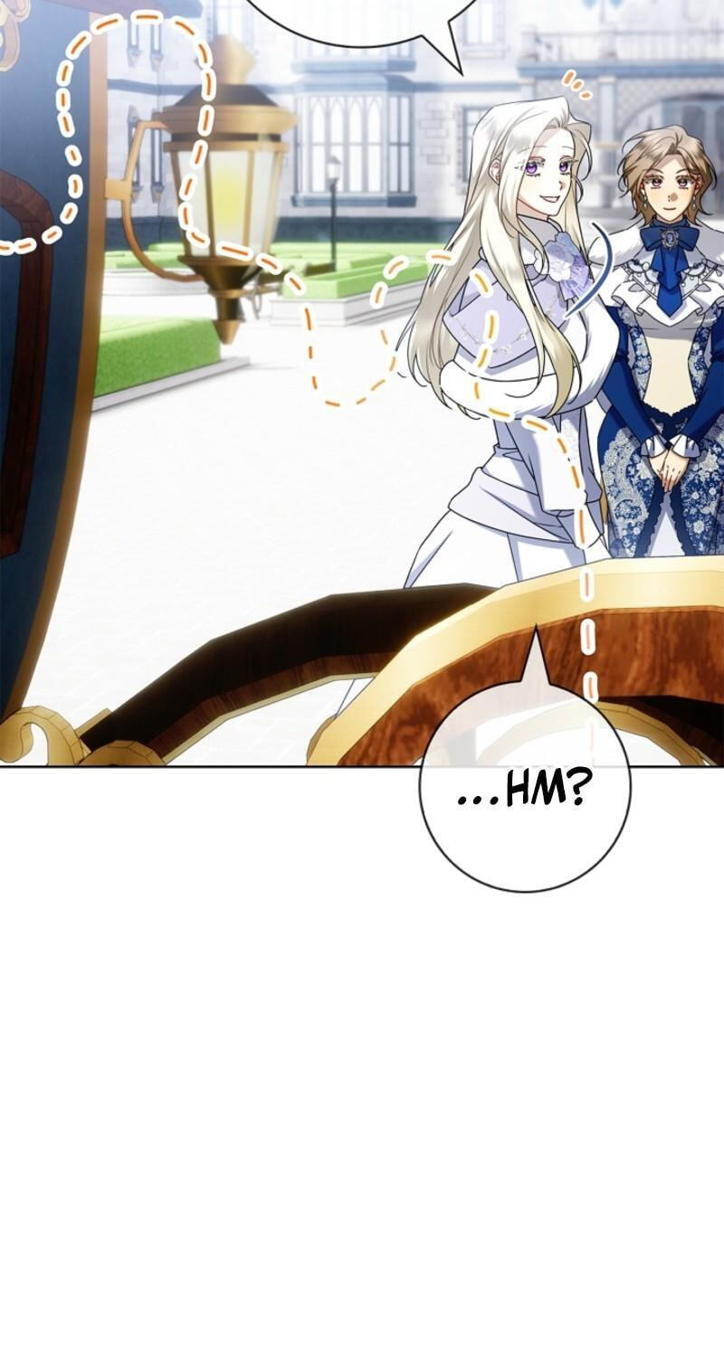 Sorry, I'm a Fool Chapter 42 page 28 - 