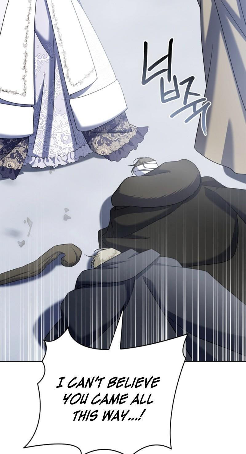 Sorry, I'm a Fool Chapter 42 page 61 - 