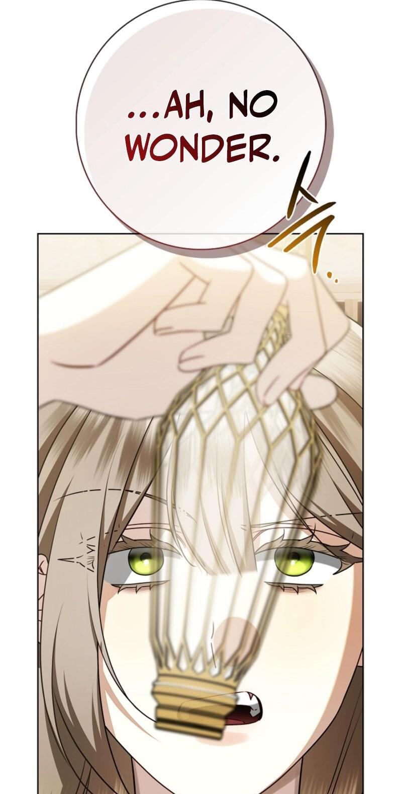 Sorry, I'm a Fool Chapter 47 page 49 - 