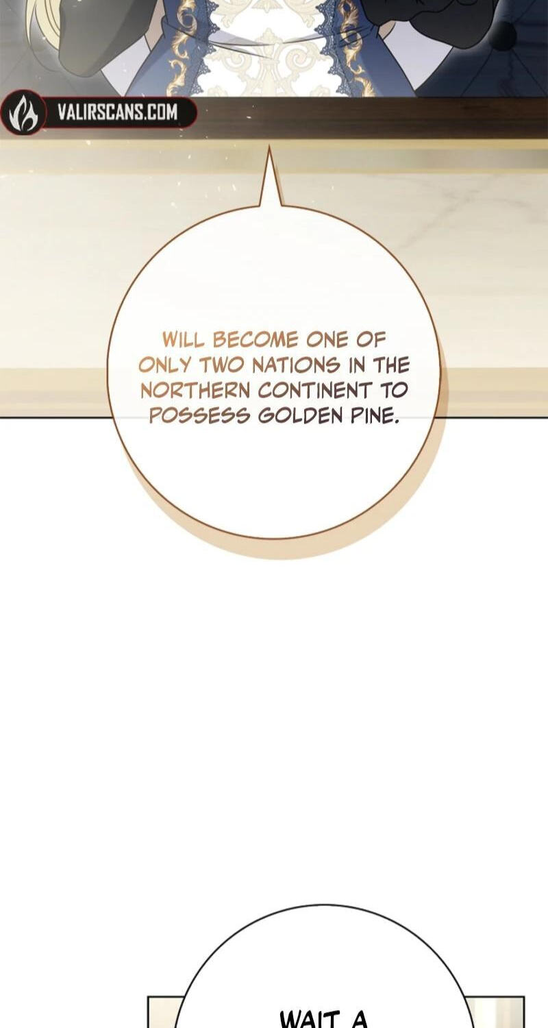Sorry, I'm a Fool Chapter 51 page 45 - 