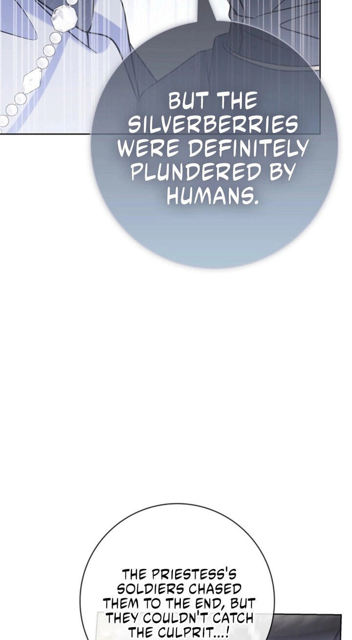 Sorry, I'm a Fool Chapter 55 page 72 - 
