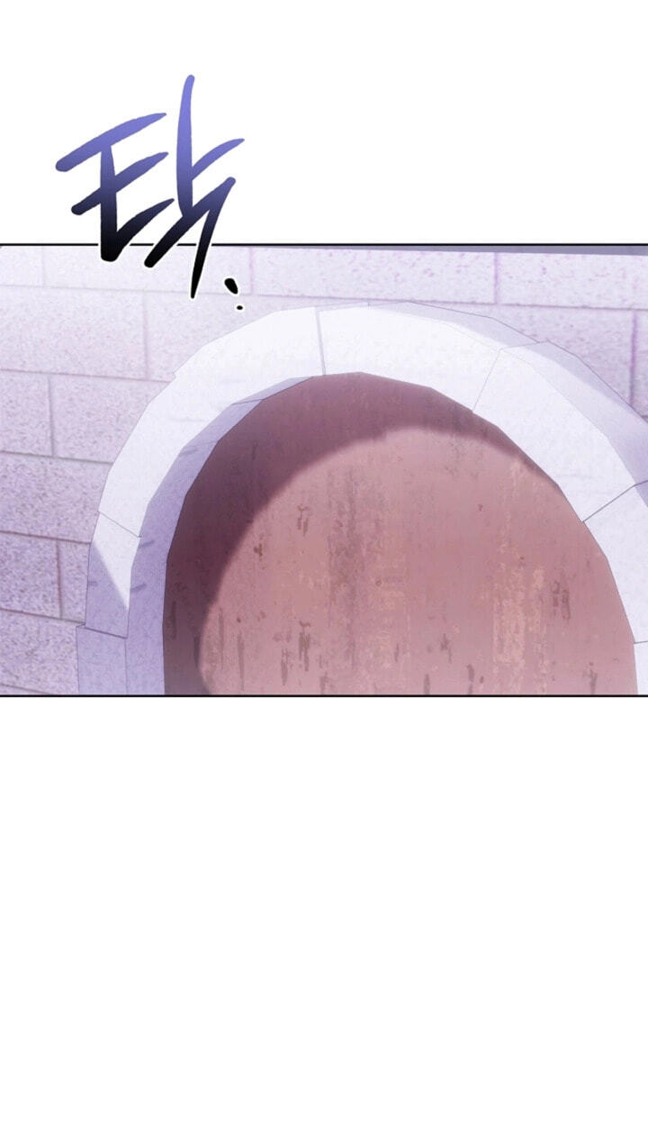 Read Sorry, I
