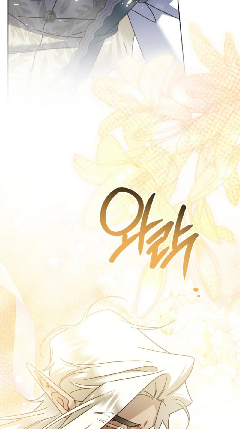 Sorry, I'm a Fool Chapter 85 page 78 - 