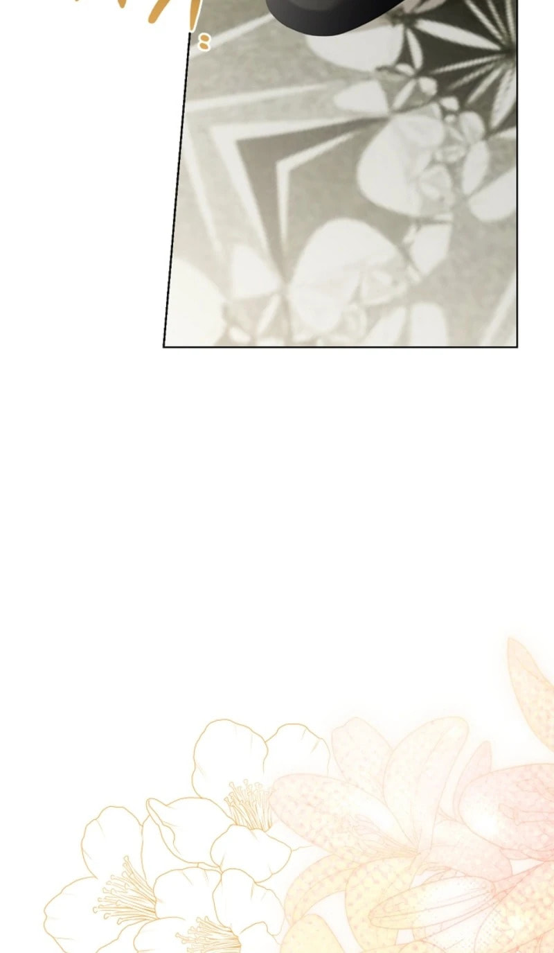 Sorry, I'm a Fool Chapter 93 page 114 - 