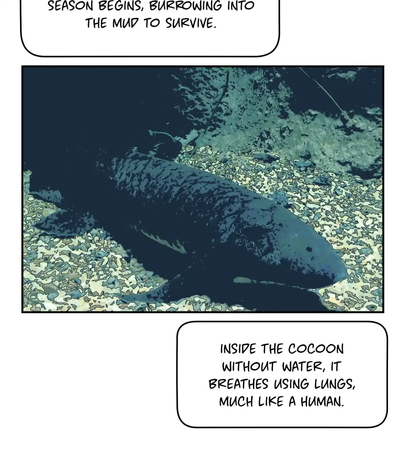 Read SOS! Fledgling Report chapter 12 image 79 on Lezhin