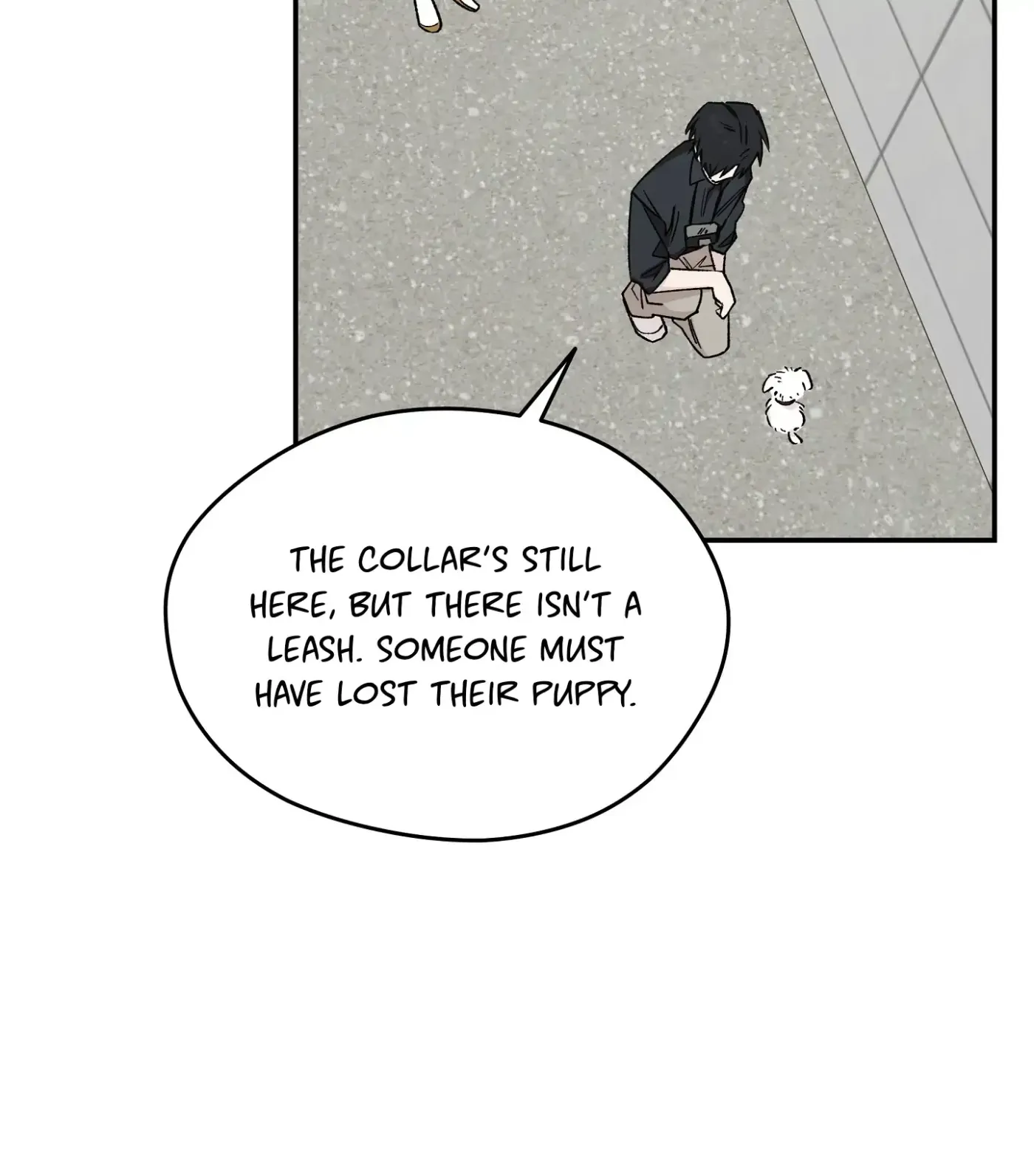Read SOS! Fledgling Report chapter 8 image 75 on Lezhin