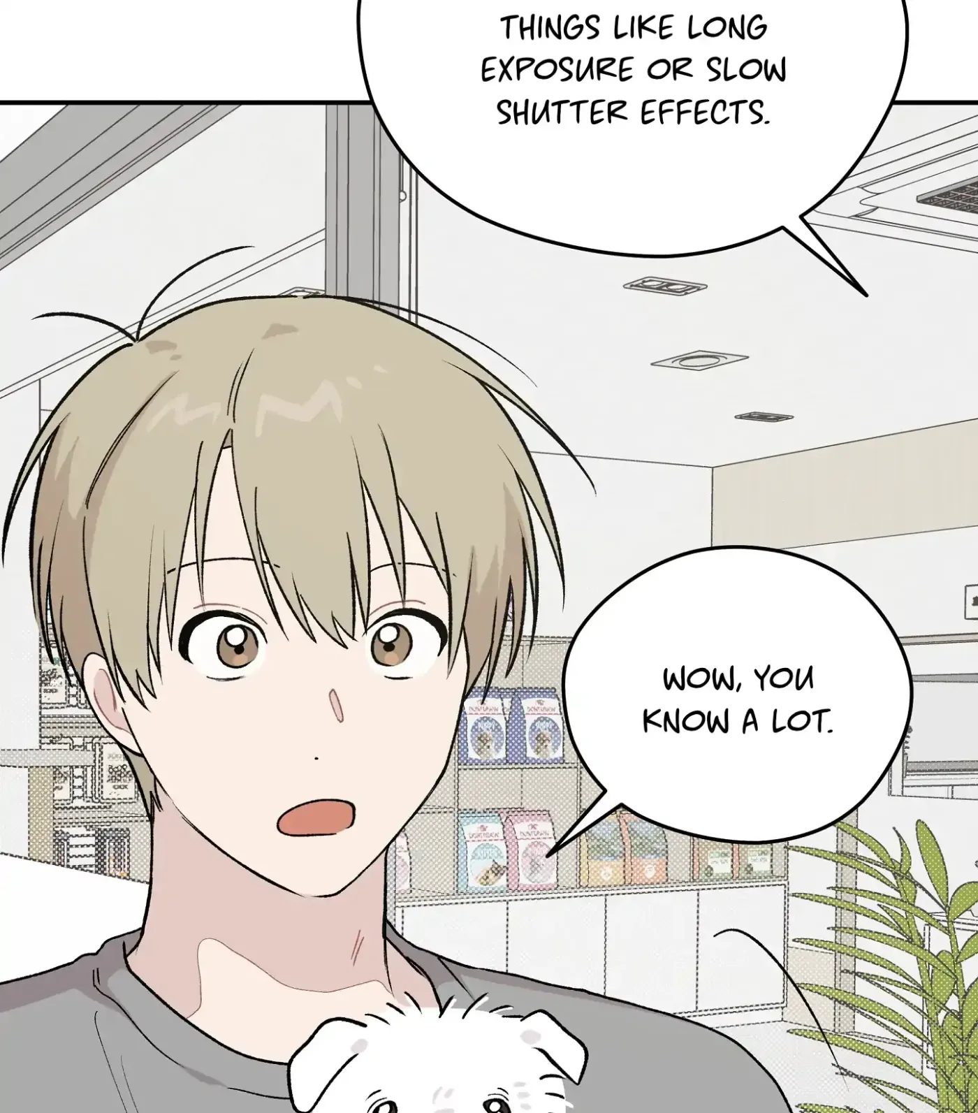 Read SOS! Fledgling Report chapter 8 image 97 on Lezhin