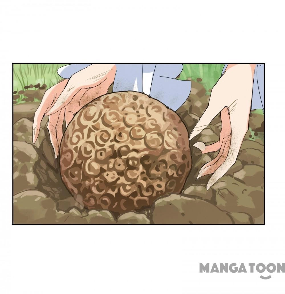 Read Soul Land chapter 445 image 41 on Lezhin