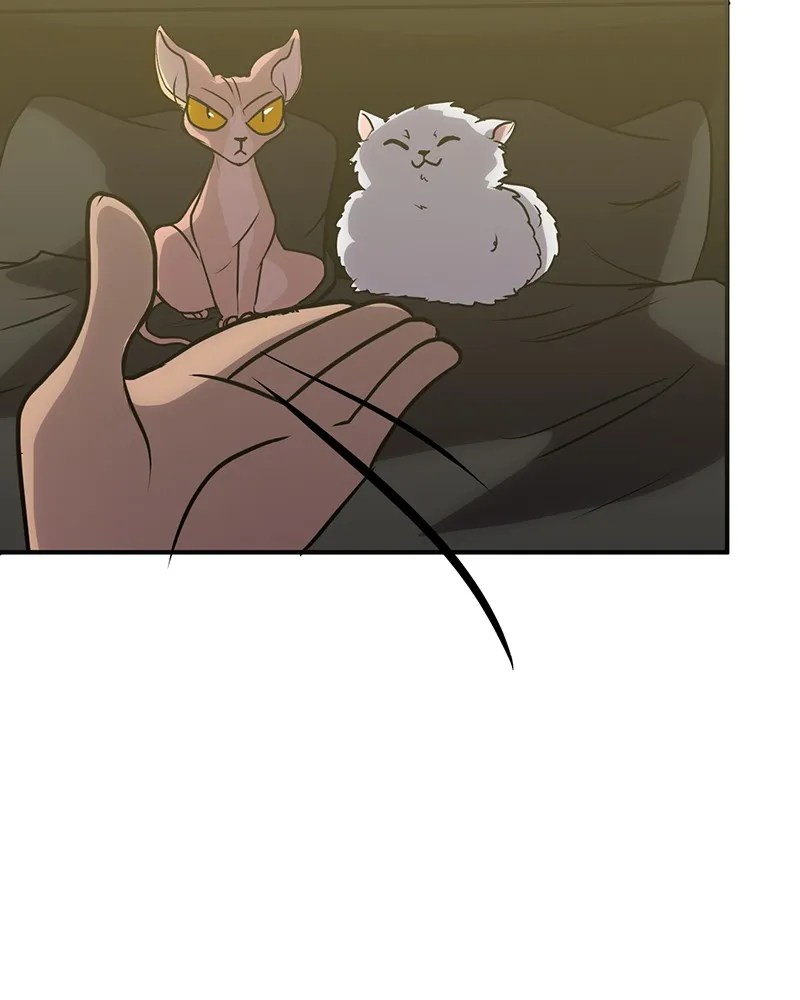 Soul on Hold Chapter 33 page 13 - 