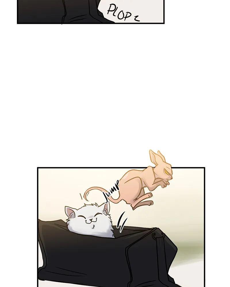 Soul on Hold Chapter 34 page 4 - 