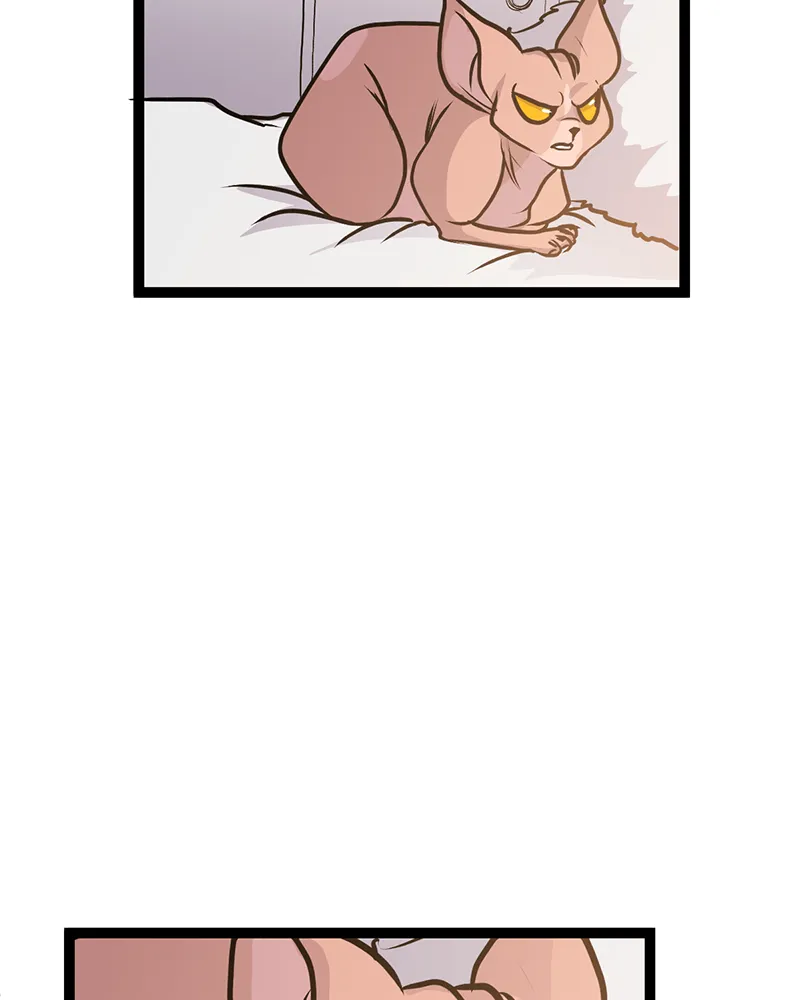 Soul on Hold Chapter 49 page 48 - 